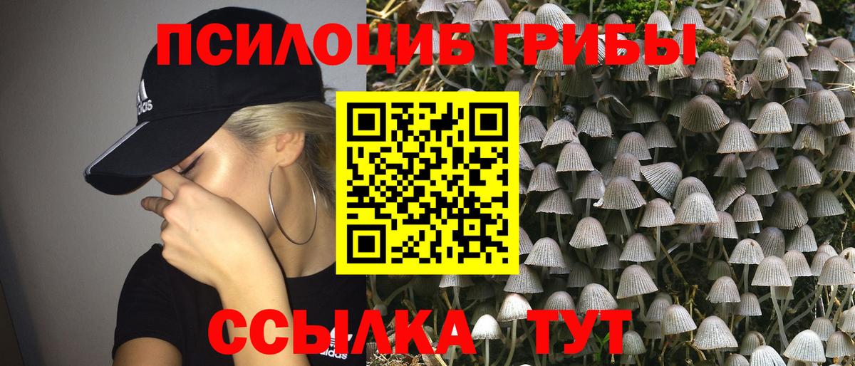Кубинка  Галлюциногенные грибы мухоморы  Вход с VPN  Псилоцибиновые грибы прущие грибы 